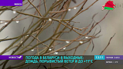 Погода в Беларуси в выходные: дождь, порывистый ветер и до + 11°С