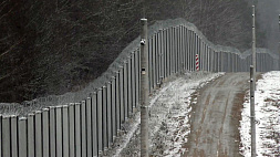 ГПК Беларуси: после появления заборов в Польше и Литве почти втрое увеличилось количество перевозчиков беженцев