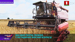 Аграрии всей Минской области сейчас активно собирают урожай 