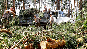 Более 11 тыс. белорусов добровольно присоединились к работам по ликвидации последствий разгула стихии