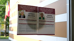 Курс не изменится - в Литве подвели итоги президентских выборов