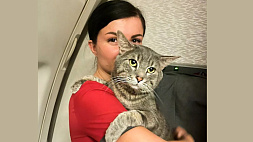 Бортпроводники спасли кота Лешку, которого хотели усыпить в аэропорту Таиланда