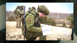 В Беларуси происходит перестройка Вооруженных Сил в связи с украинским конфликтом