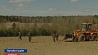 Аграрии Минской области в этом году рассчитывают на большую отдачу от кормовых сельхозкультур