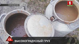 Несколько фактов транспортировки горячительных напитков раскрыли оперативники в Гродненской области