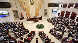 Депутаты приняли во втором чтении законопроект по вопросам деятельности Президента Беларуси