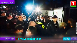 Владимир Познер поспешно покинул столицу Грузии из-за акций протеста