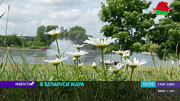 27 июня в Беларуси объявлен желтый уровень опасности, до 33 градусов тепла ожидается по стране