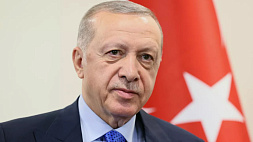 Эрдоган: Турция готова внести вклад в урегулирование ситуации в России
