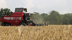 В Беларуси намолочено более 6,37 млн тонн зерна с учетом рапса