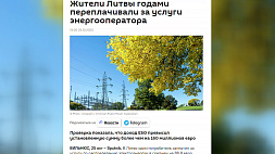 Литовцы годами переплачивали за электричество