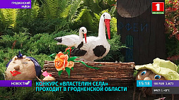В Беларуси в Гродненской области проходит  конкурс "Властелин села" 