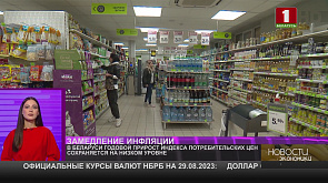 В Беларуси годовой прирост индекса потребительских цен сохраняется на низком уровне