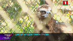 Двадцатилетие грифа Гриши отметили в Минском зоопарке