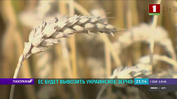 Евросоюз будет вывозить украинское зерно 