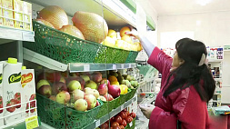 Необоснованное повышение цен выявлено в торговых точках Каменца, Новополоцка, Оршанского района и в интернет-магазинах