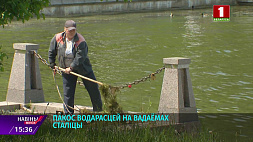 В Минске начался сезон покоса водорослей