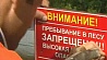 Из-за аномальной жары в Беларуси  продолжают вводить запрет на посещение лесов