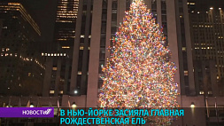Главная рождественская ель Нью-Йорка зажглась в Рокфеллер-центре