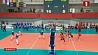 Мужская и женская сборные Беларуси по волейболу стартуют в выездных матчах Золотой Евролиги