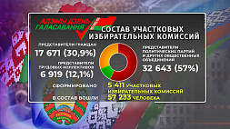 ЦИК опубликовал цифры по формированию участковых избирательных комиссий