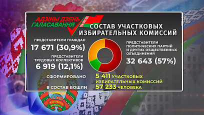 ЦИК опубликовал цифры по формированию участковых избирательных комиссий