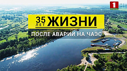МЧС и МИД Беларуси провели международную видеоконференцию "Чернобыль 35 лет спустя" 