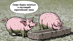  Цена на свинину в Эстонии достигла рекорда