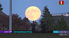 Жители Земли в ночь на субботу наблюдали "клубничную" Луну