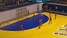 Женская сборная Беларуси по гандболу на выезде встречается с Косово