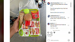 Пластиковые гамбургеры привозят в сектор Газа в составе гуманитарной помощи ООН  