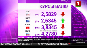 Курсы валют на 10 августа: доллар, юань и российский рубль подешевели