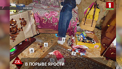 В Борисове женщина едва не зарезала своего сожителя разбитой бутылкой