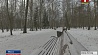 Конец февраля в Беларуси будет морозным 