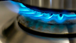 Какая страна больше всего пострадает от газового кризиса, рассказал политолог