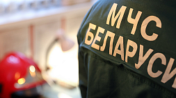 В Беларуси за сутки при пожарах погибли пять человек