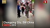В Китае очевидцы сняли на видео необычную прогулку