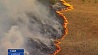 Мощные лесные пожары охватили американский штат Оклахома