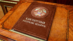 Шпаковский: Конституционный референдум - это победа патриотических сил