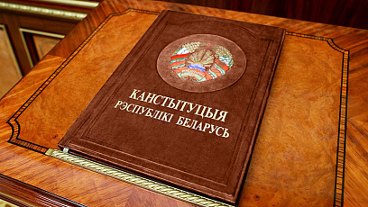 Шпаковский: Конституционный референдум - это победа патриотических сил