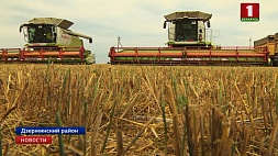 Планку в три тысячи тонн зерна преодолели два комбайнера из Минской области