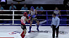 На чемпионате мира по тайскому боксу белорусы завоевали 4 бронзовые награды