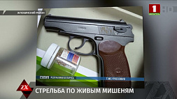 Пьяный парень стрелял по незнакомым девушкам в Жабинковском районе