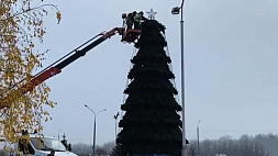 Где в Минске уже появляются новогодние елки