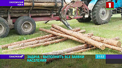 Дров хватит на всех - как лесхозы Беларуси выполняют заявки