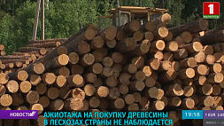 Александр Драгун: Ажиотажа на покупку древесины в лесхозах Беларуси не наблюдается 