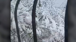 Майские снегопады обрушились на Свердловскую область России