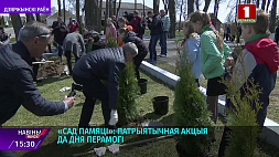 Акция "Сад памяти" - дань уважения героям ВОВ и патриотический воспитательный проект