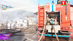 Спасатели ликвидировали возгорание на бумажной фабрике в Борисове