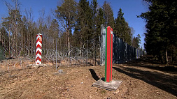 Мониторинговая миссия ЮНЕСКО посетила Беларусь для оценки негативных воздействий забора на белорусско-польской границе